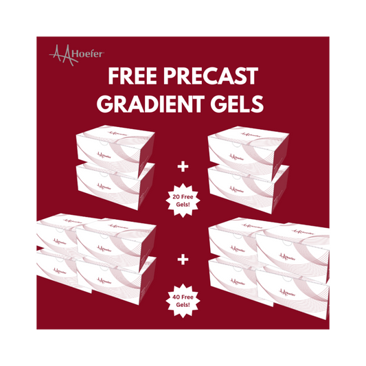 Gradient Precast Gel Bundles (4-12%, 4-20%)