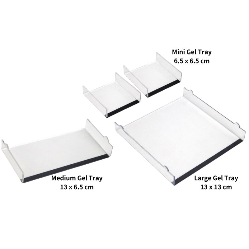 HE-FLEX Horizontal Electrophoresis Complete System