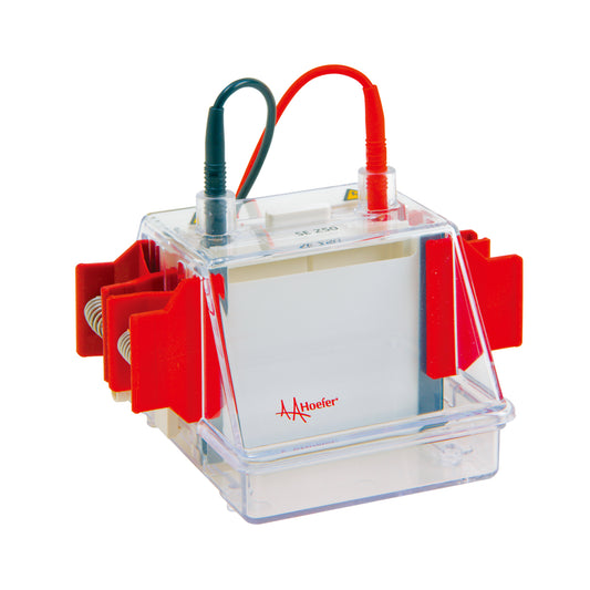 SE250 Mighty Small II Mini Vertical Protein Electrophoresis Unit - Hoefer Inc.