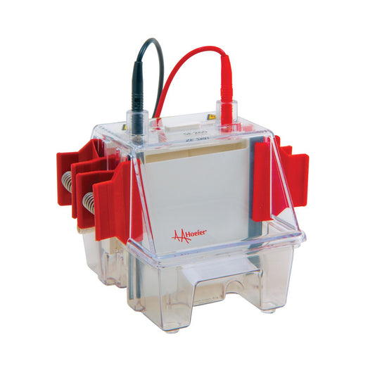 SE260 Mighty Small II Deluxe Mini Vertical Protein Electrophoresis Unit - Hoefer Inc.