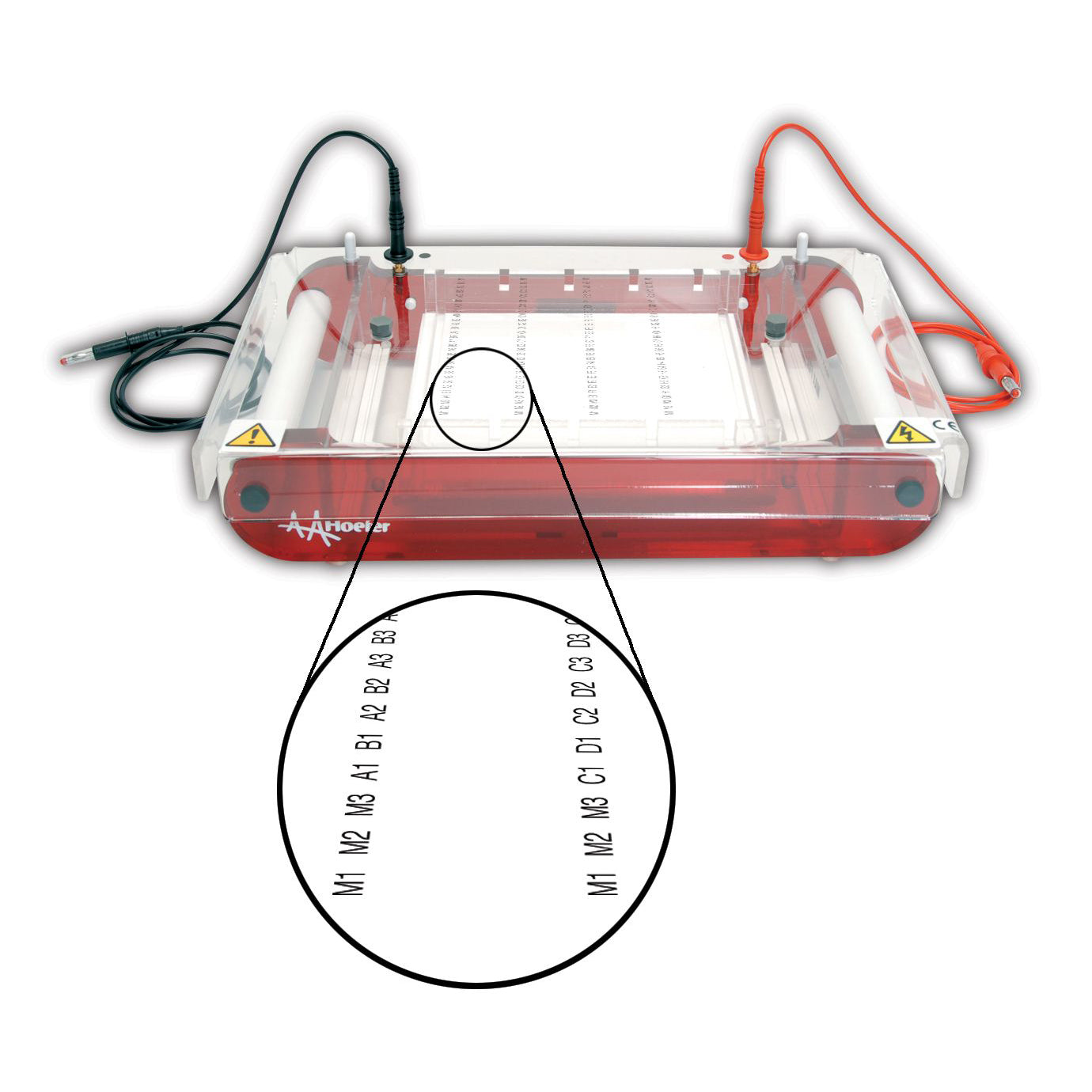 SUBHT High Throughput Submarine Gel Electrophoresis Unit - Hoefer Inc.