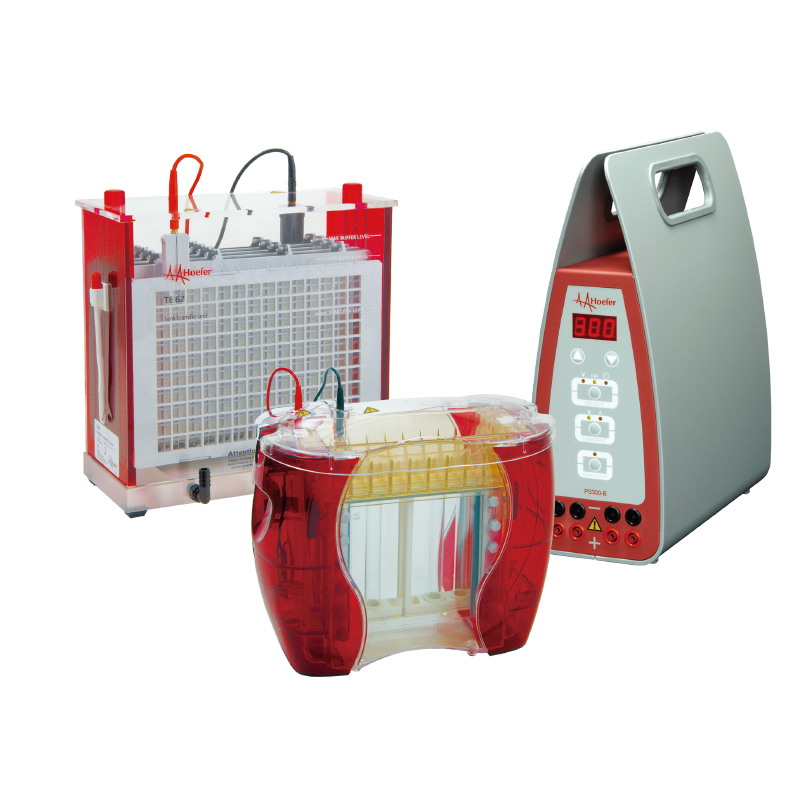 Western Blotting Starter Bundle – Save Time & Money