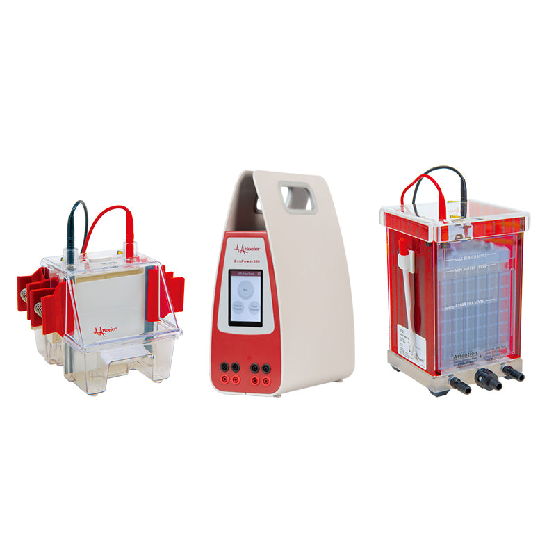 Mini Electrophoresis Western Blot Combination Package w/ Transfer Tank