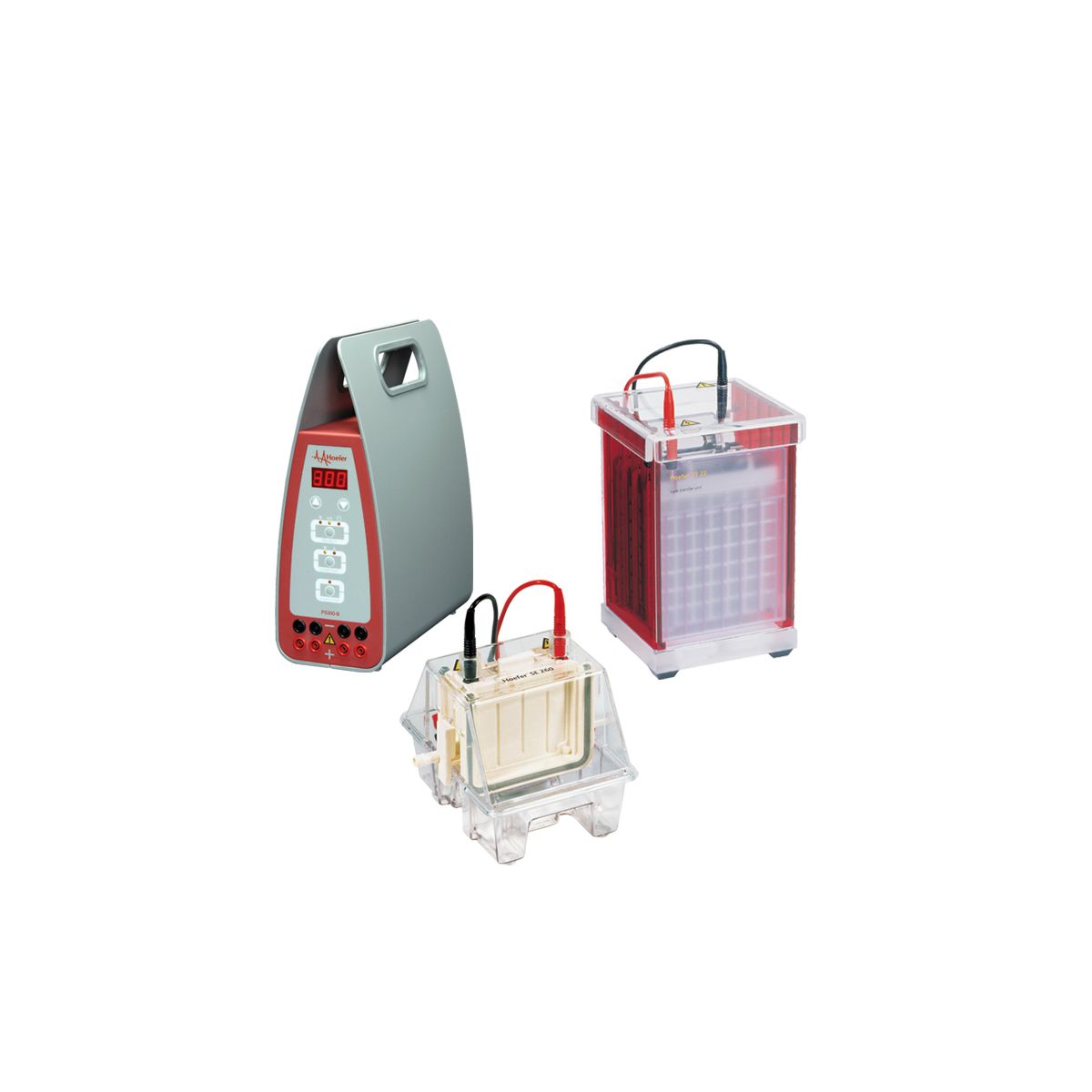 Mini Electrophoresis Western Blot Combination Package w/ Transfer Tank - Hoefer Inc.