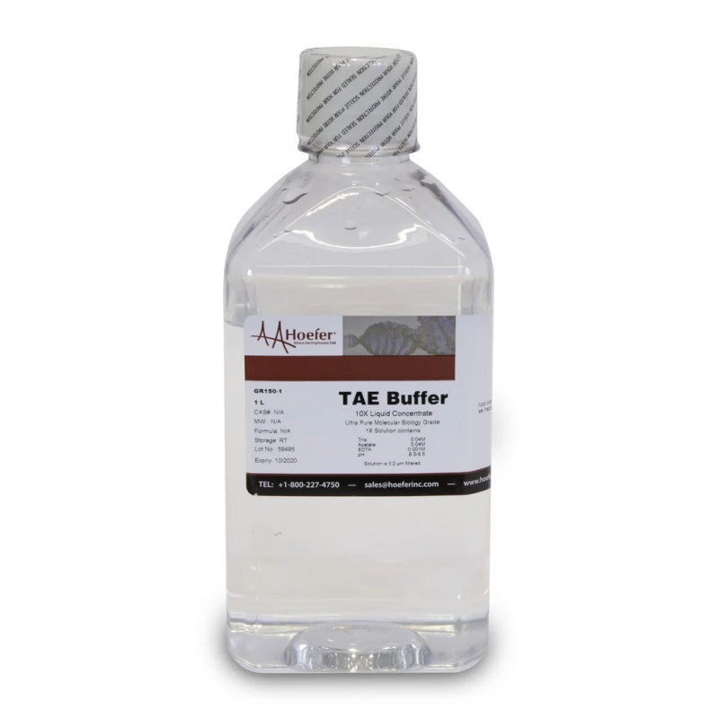 Tris-Acetate-EDTA (TAE) Buffer, 10X Solution, PH 8.3 - Hoefer Inc.