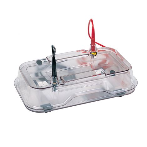HE33 Mini Horizontal Agarose Electrophoresis Unit - Hoefer Inc.