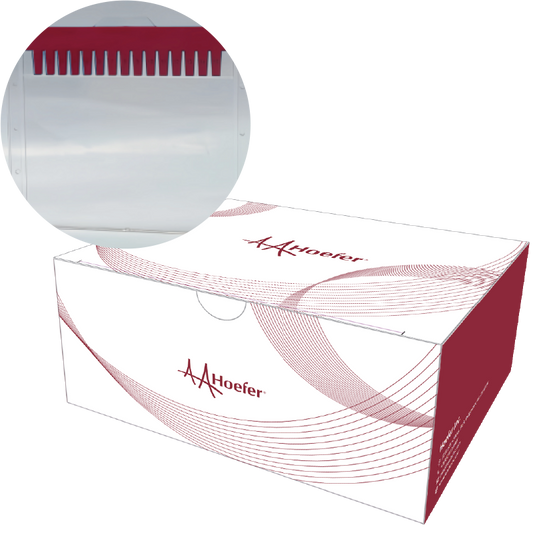 Mighty Small Precast Gels, 12 wells (10 pcs)