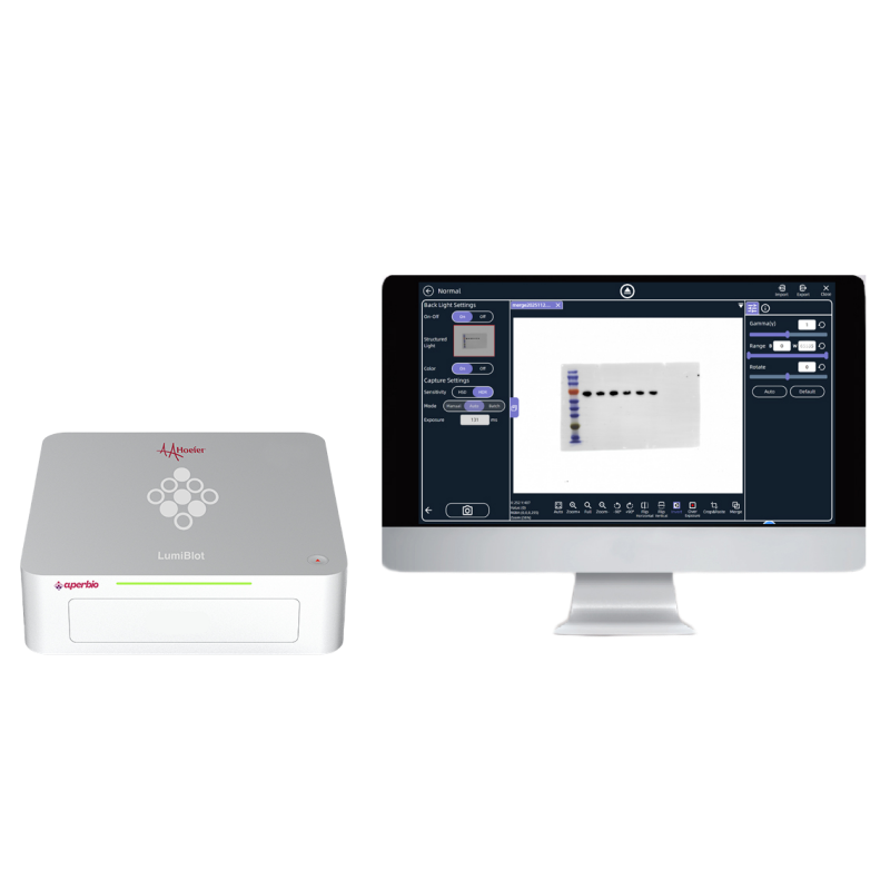 LumiBlot Near-Field Chemi Imager