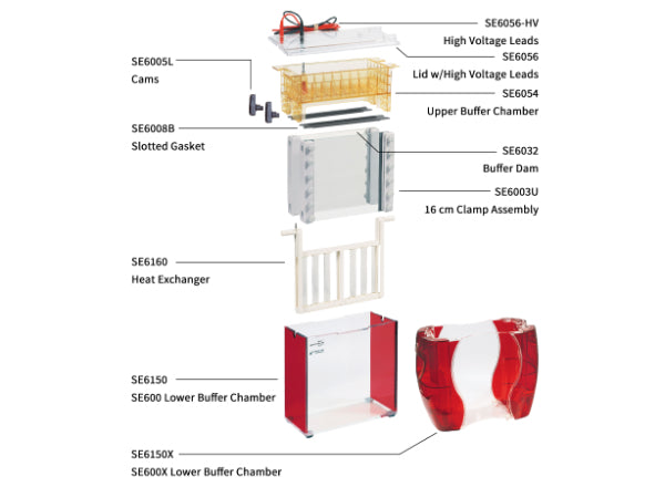 SE600 Vertical Electrophoresis System Replacement Parts - Hoefer Inc. - Electrophoresis