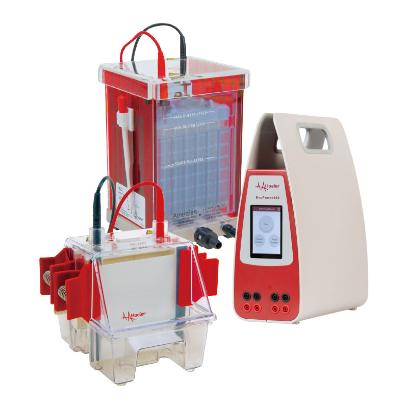 Mini Electrophoresis Western Blot Combination Package w/ Transfer Tank