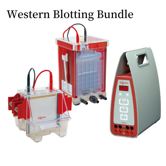 Western Blotting Starter Bundle – Save Time & Money